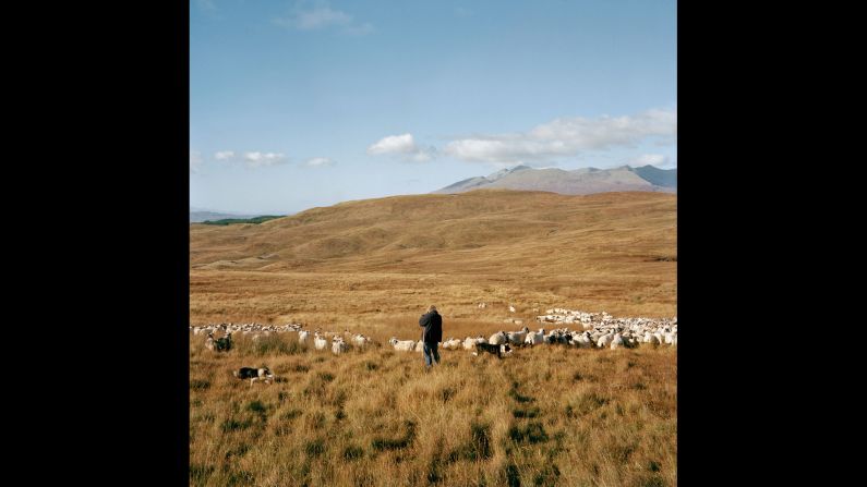 MacPherson with her animals in Dalmally. "There are three mountains on this farm, and they go up over 3,000 feet," she told Gerrard. "The sheep go up into those hills and we won't see them until the summer."