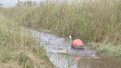 bog snorkelling 2