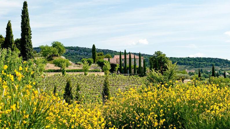 Travelers can walk through the textured fields of Provence with Country Walkers, followed by an evening with a local cheese-maker, who pairs a variety of cheeses with the region's wines.