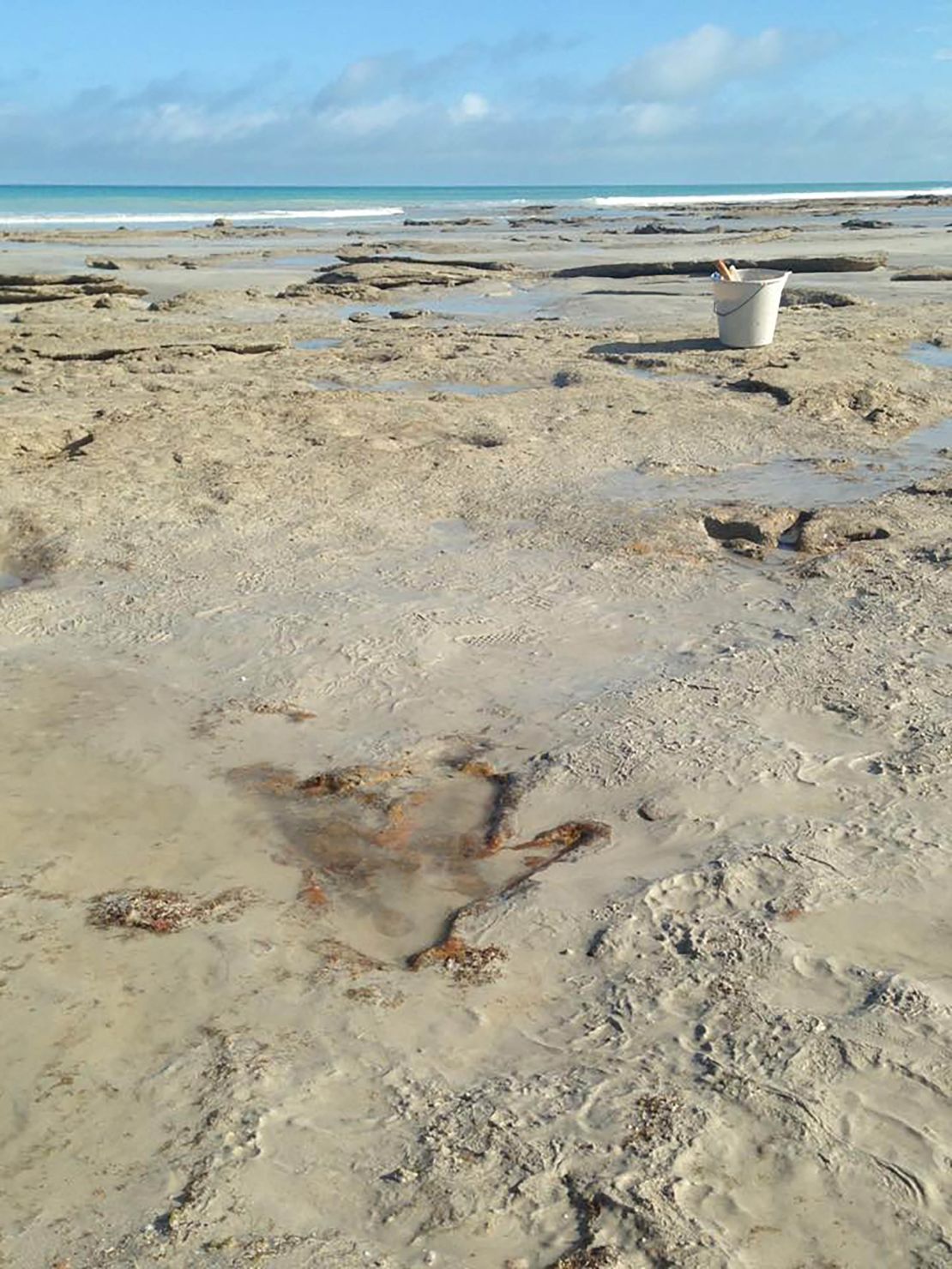 A series of dinosaur footprints uncovered on a Western Australian beach.