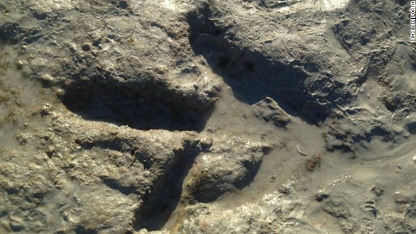 The footprint of a carnivorous theropod uncovered on a Western Australian beach.