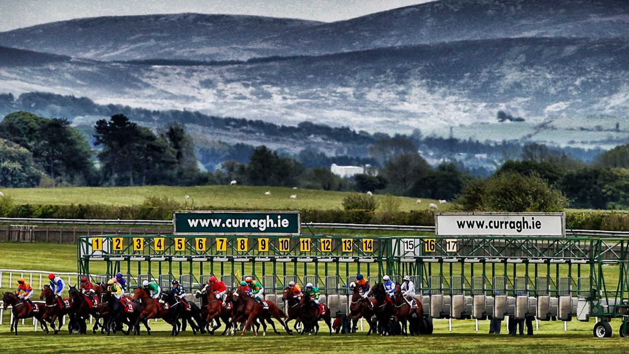 Runners break from the stalls in the back straight  at Curragh race course.