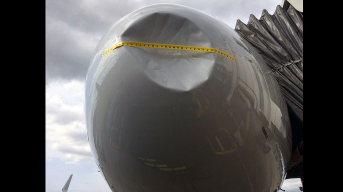 American Airlines Flight 2310 landed safely in Seattle last April after a serious bird strike.