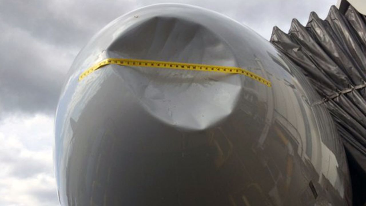 American Airlines Flight 2310 landed safely in Seattle last April after a serious bird strike.