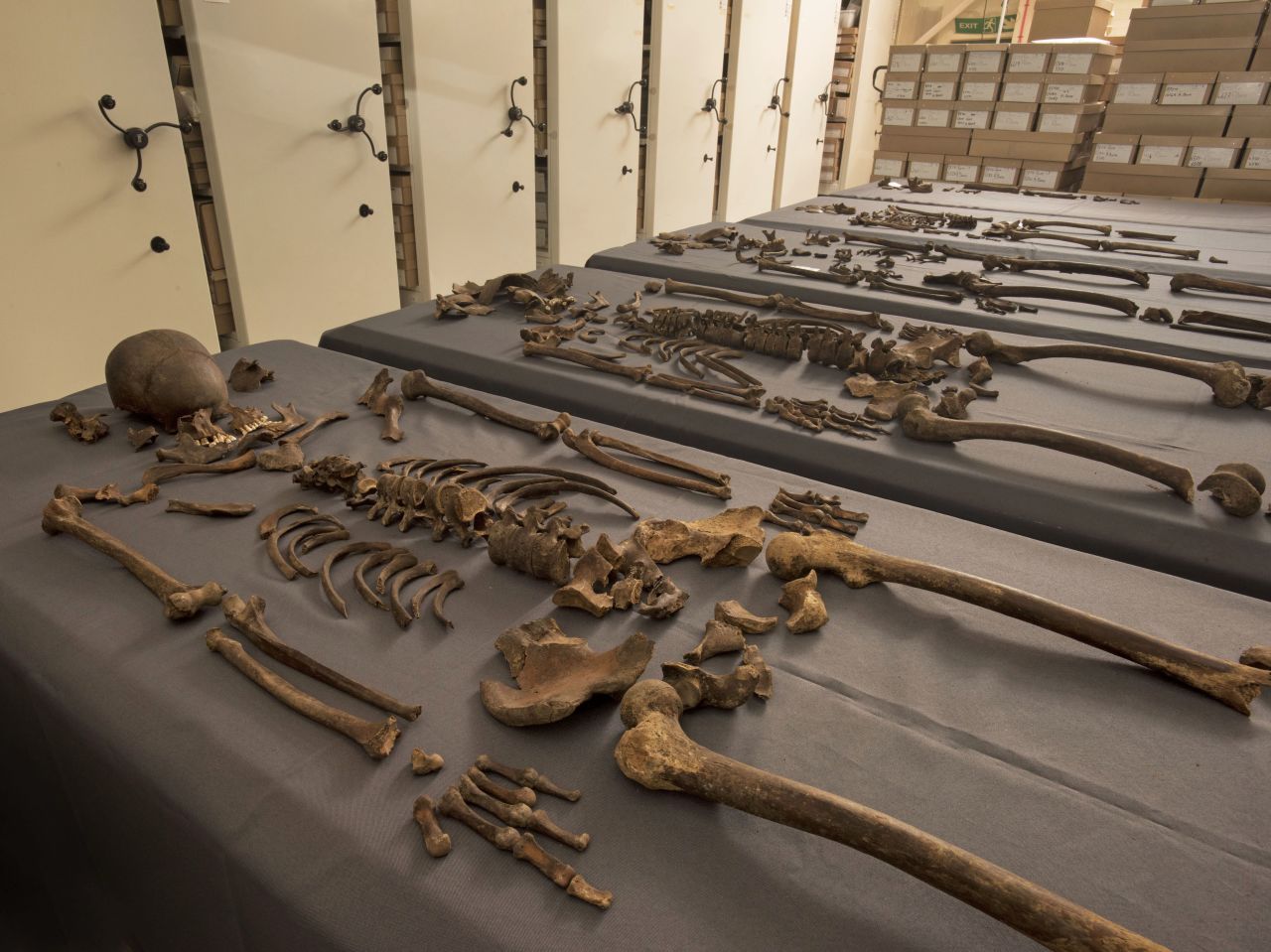 Scientists examined samples from 20 skeletons, looking for for traces of the plague pathogen Yersinia pestis, which they found in five of the individuals, confirming they had been exposed to it before they died.