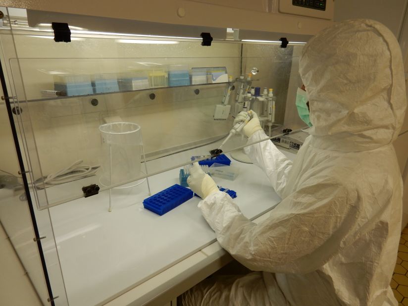Scientists at the <a href="https://www.mpg.de/institutes" target="_blank" target="_blank">Max Planck Institute</a> in Jena, Germany, sequenced the DNA and are now working to sequence the whole genome of the bacteria.