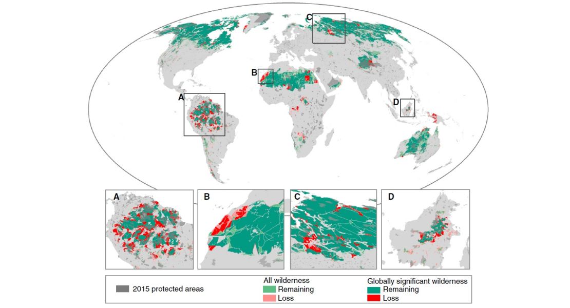 A study by James Watson and fellow researchers at the University of Queensland and published in Current Biology shows the extent of wilderness loss since the early 1990s.