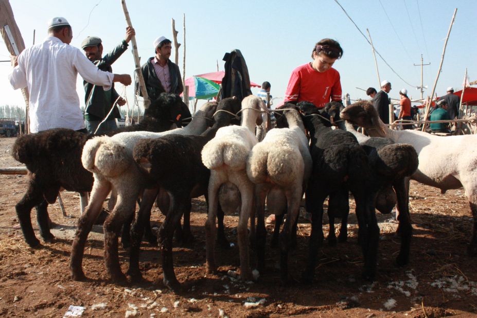 Kashgar's famously fat-bottomed lambs at the Livestock Market.