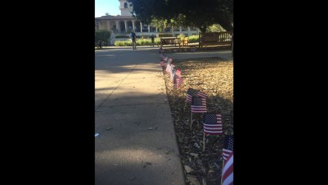 Vandals uprooted hundreds of American flags honoring victims of the September 11, 2001, attack.