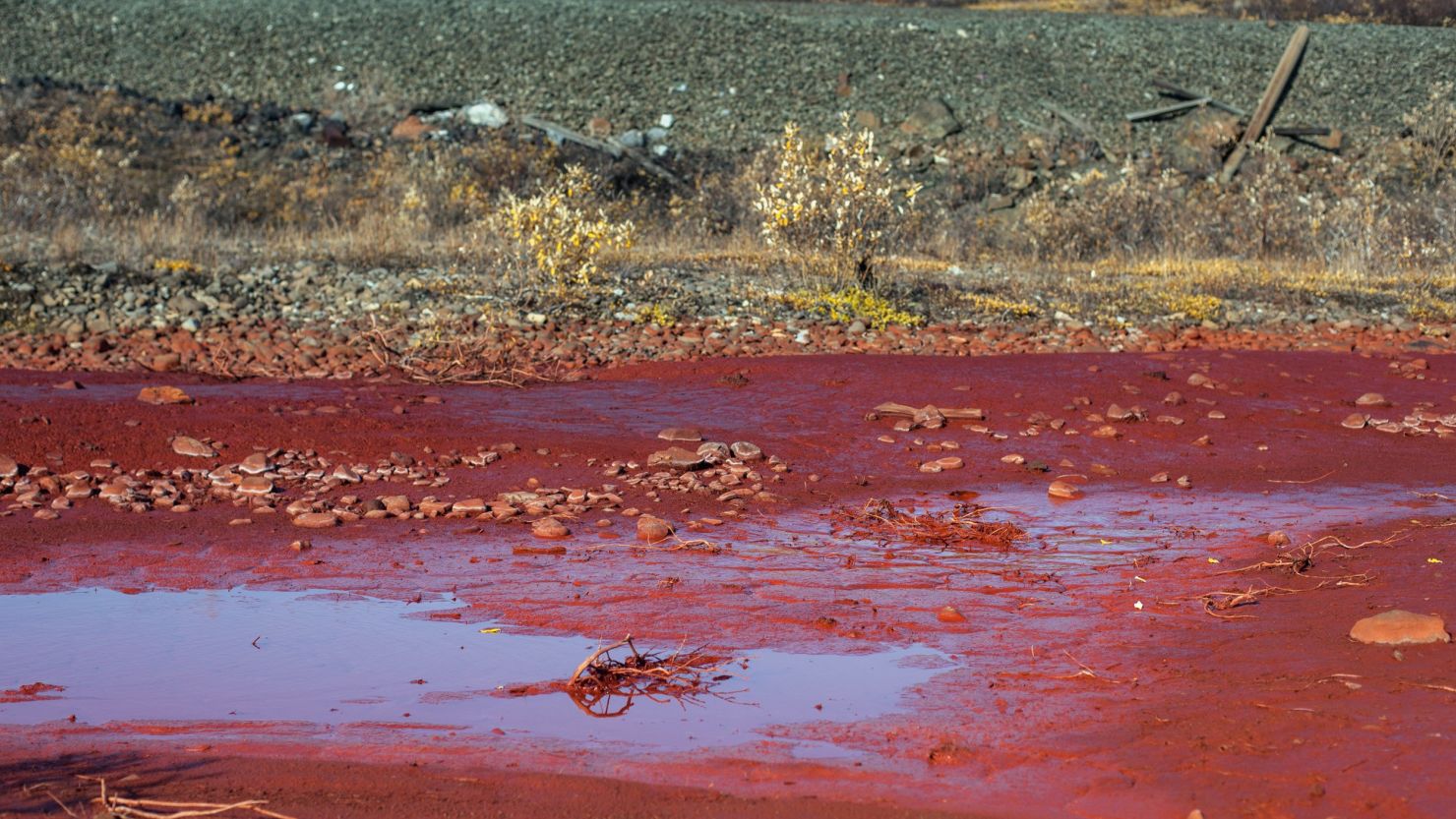 Norilsk Nickel, the world's largest nickel producer, said Monday that a dike at its Nadezhda plant overflowed, coloring the Daldykan River blood red.  