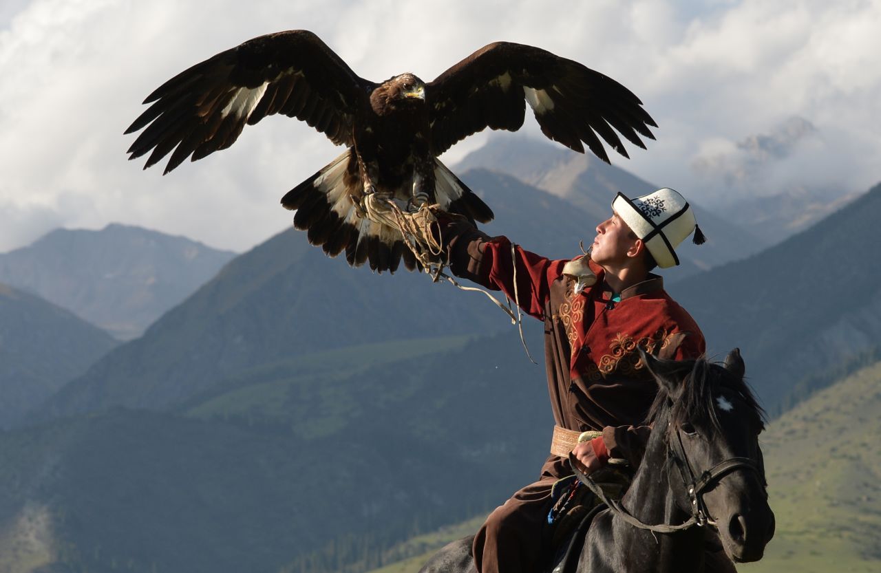 A Kyrgyz berkutchi -- an eagle hunter -- pictured in action in the Salbuurun event, which comprises of three different hunting techniques involving dogs and birds.