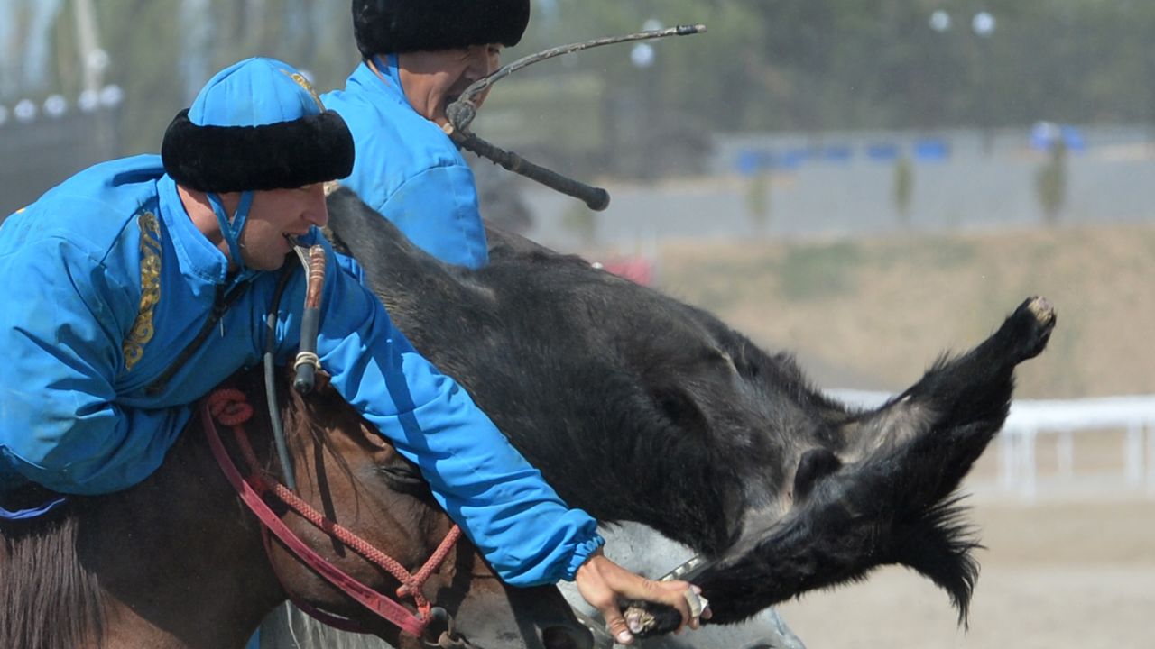 Kok-Boru can also ben known as Buzkashi or Oglak Tartis.