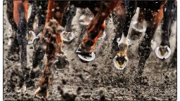 SUNBURY, ENGLAND - JULY 02: (This image was processed using digital filters) Horses hooves at Kempton Park racecourse on July 02, 2014 in Sunbury, England. (Photo by Alan Crowhurst/Getty Images)