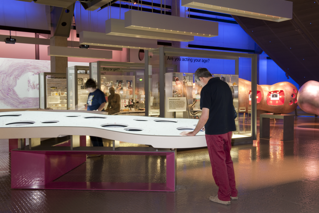The 'who am I?' exhibition in the London Science Museum