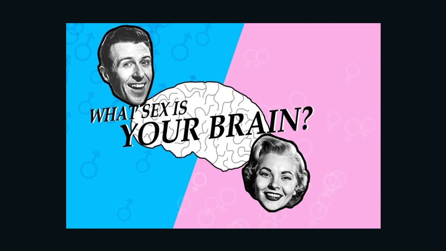 The opening page of the brain gender quiz