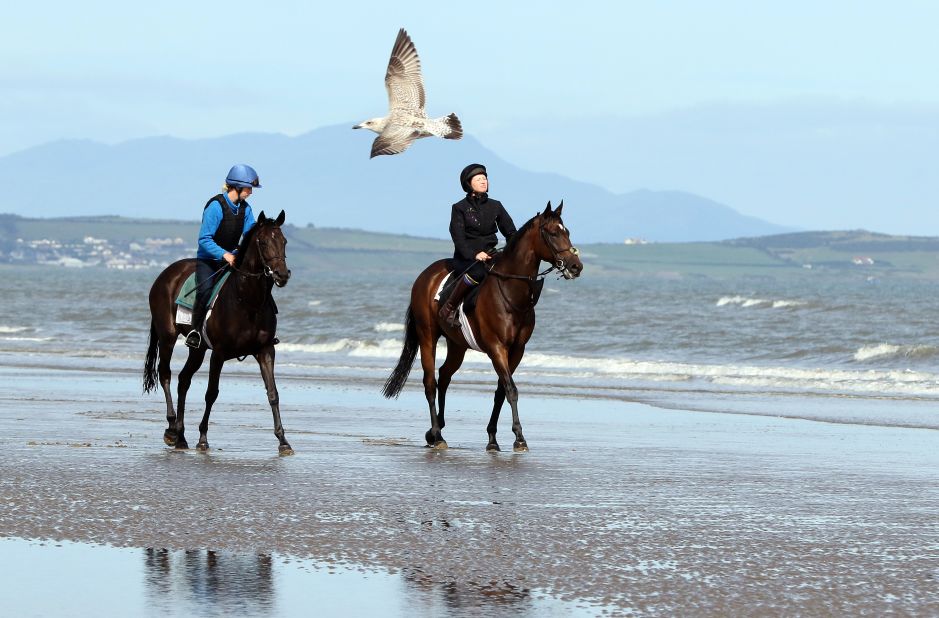 Two horses are exercised on Laytown beach ahead of the Laytown Strand horse races -- the only ones in the Irish and English calendars to be run on a beach under the Rules of Racing.