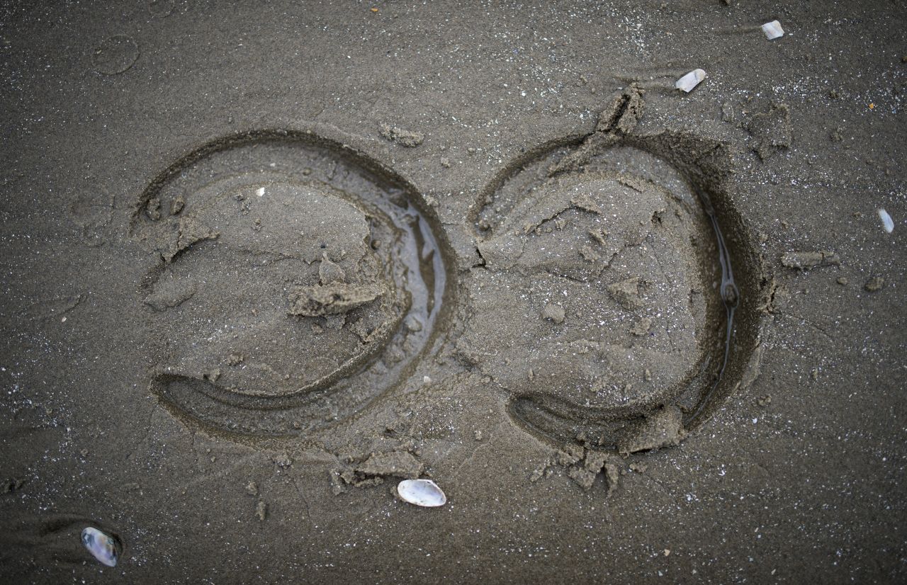 Fresh hoof prints in the Laytown sand.