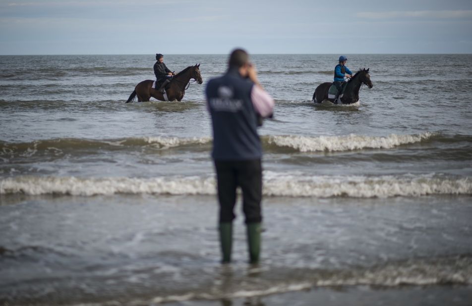 Horses walk through the water ahead of a race. Races are run over distances ranging from five furlongs to two miles. 