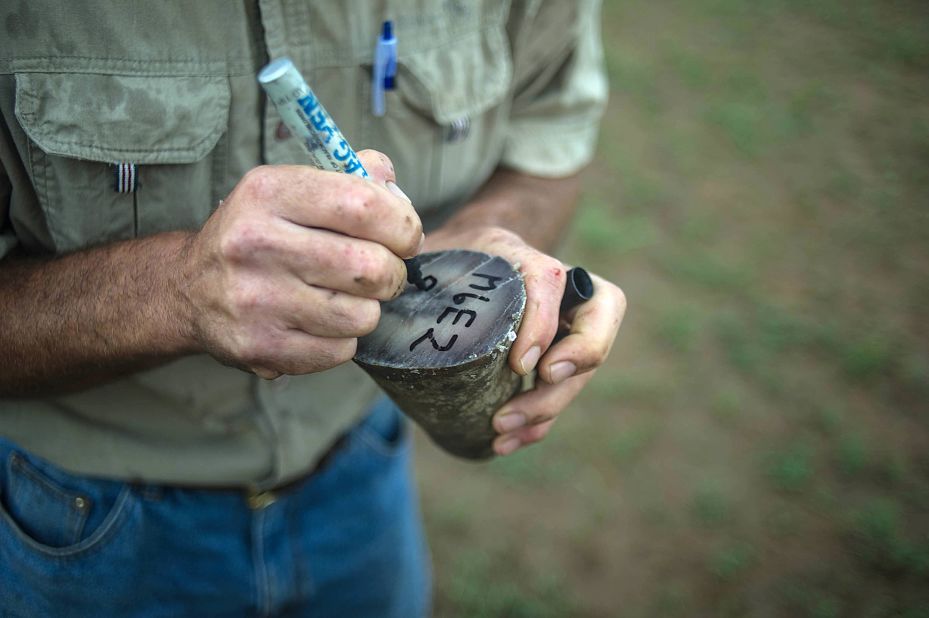 A ranger marks trimmed rhino horns to be weighed and stored in a bank safe or secure depository.
