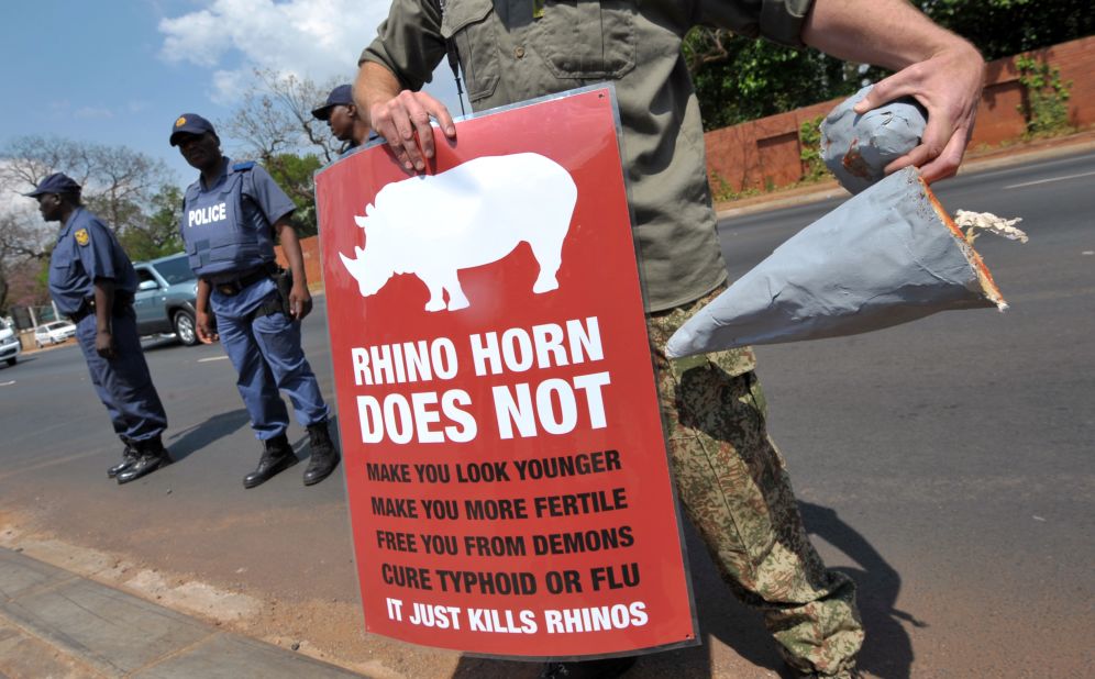 A South African protester holds a sign and a fake rhino horn during a demonstration outside the Chinese embassy in Pretoria, on September 22, 2011. At least <a href="http://edition.cnn.com/2016/03/10/africa/africa-rhinos-record-poaching/index.html">1,338 rhinos were killed last year</a> according to data compiled by one international group. Overall the number of rhinos killed has increased in the last six years, but there was one ray of hope: killings in South Africa decreased for the first time in years.