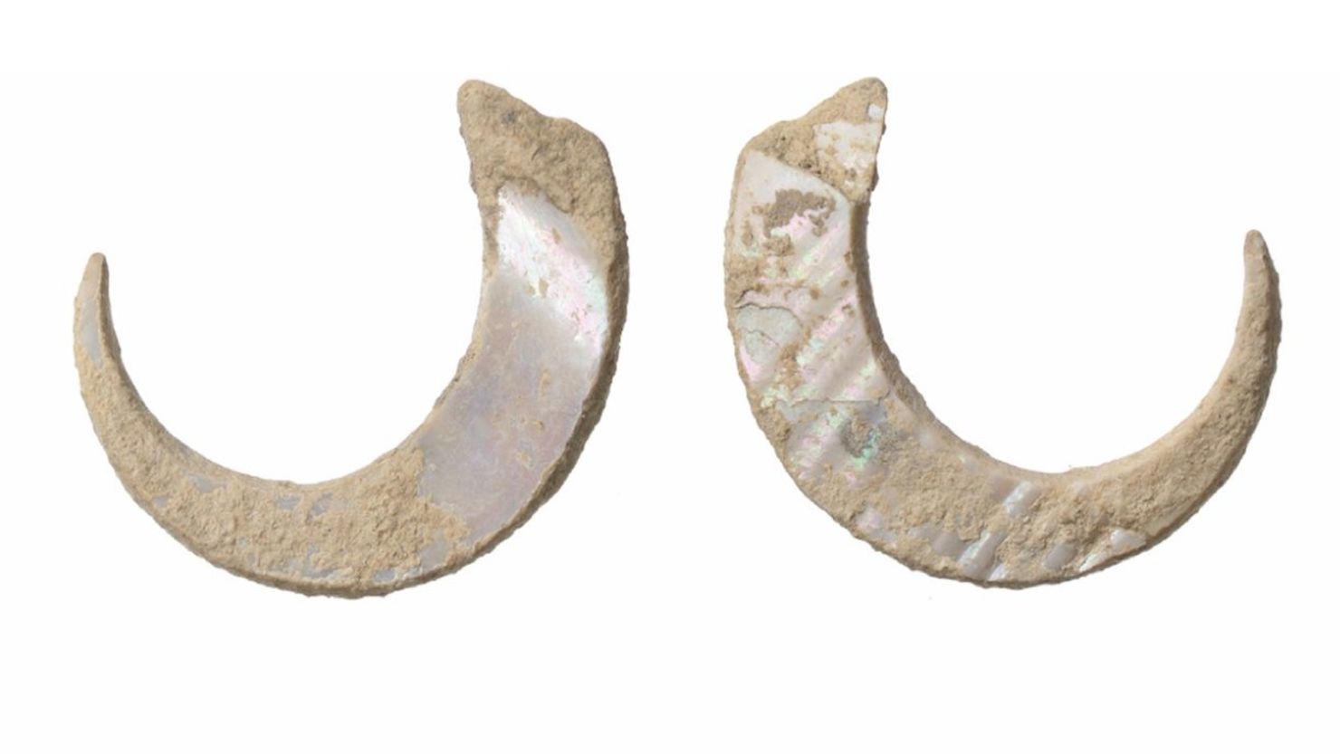 World's oldest fish hooks found in Japan