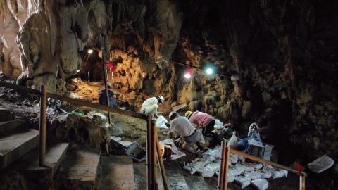 Researchers excavate Sakitari cave.