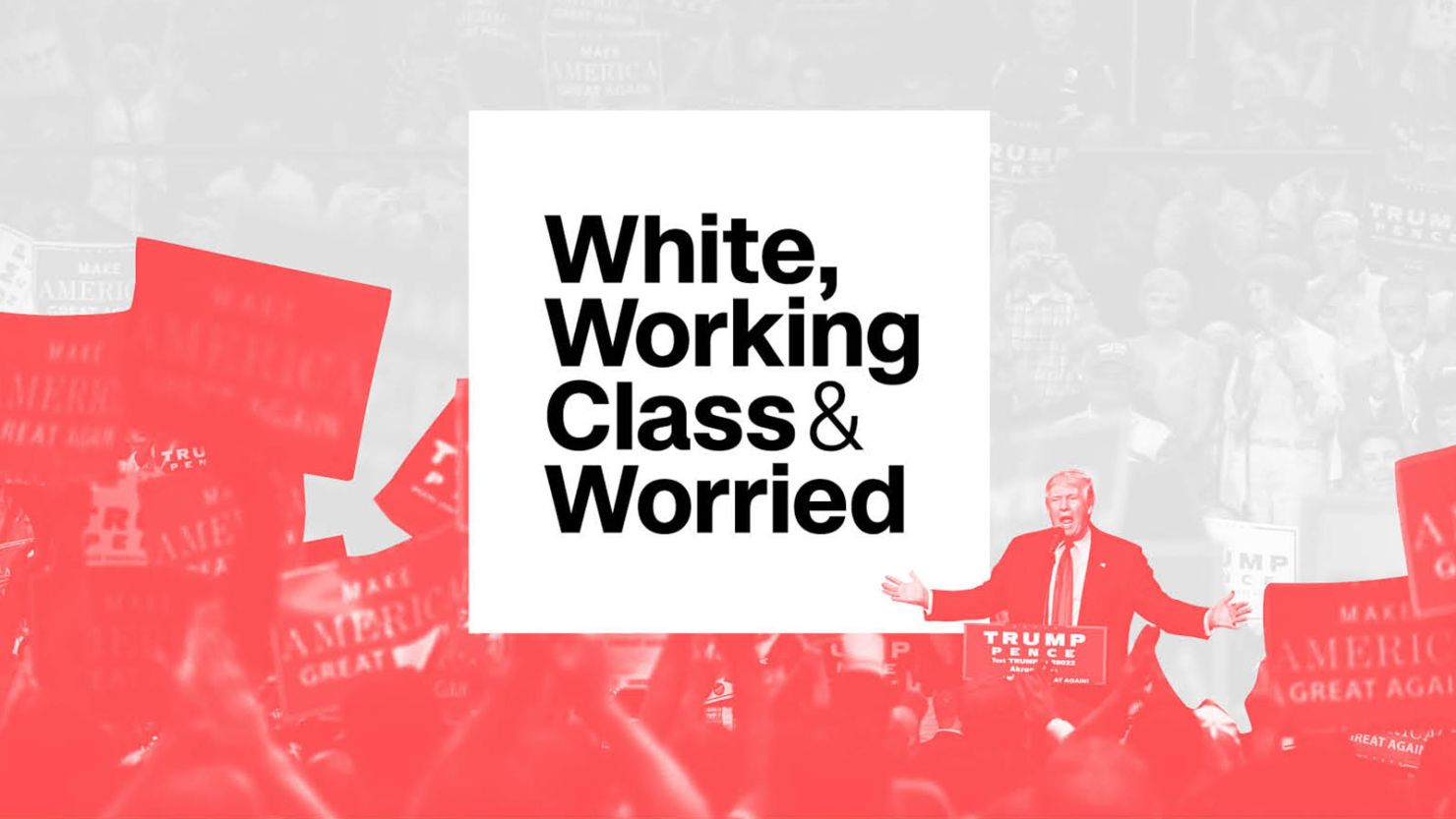 white working class Trump voter infographic head