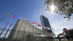 International flags fly in front of the United Nations headquarters on September 24, 2015, before the start of the 70th General Assembly meeting.