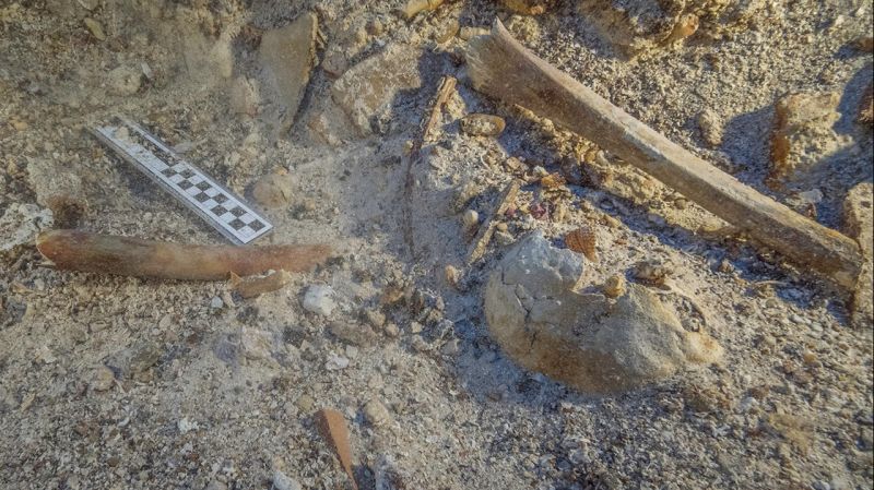 human remains found on shipwrecks