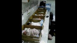 A row of cardboard boxes on a counter -- inside each box, a newborn baby.
