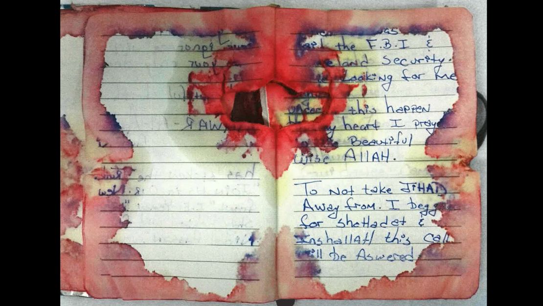 01 bloodied diary of the bomber