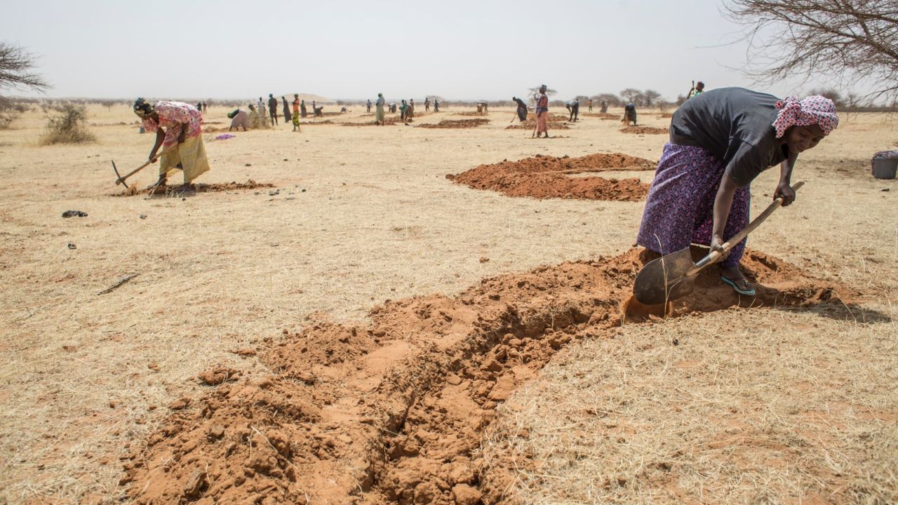 Digging half moons for water conservation in Niger.