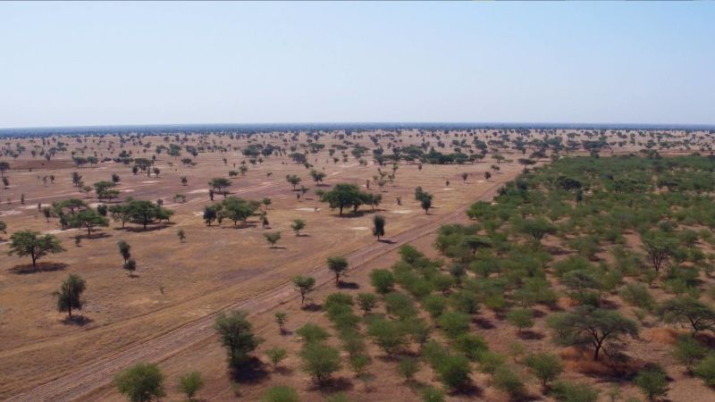 The 4 Billion Great Green Wall Changes Course Cnn - Great Green Wall Of China Facts