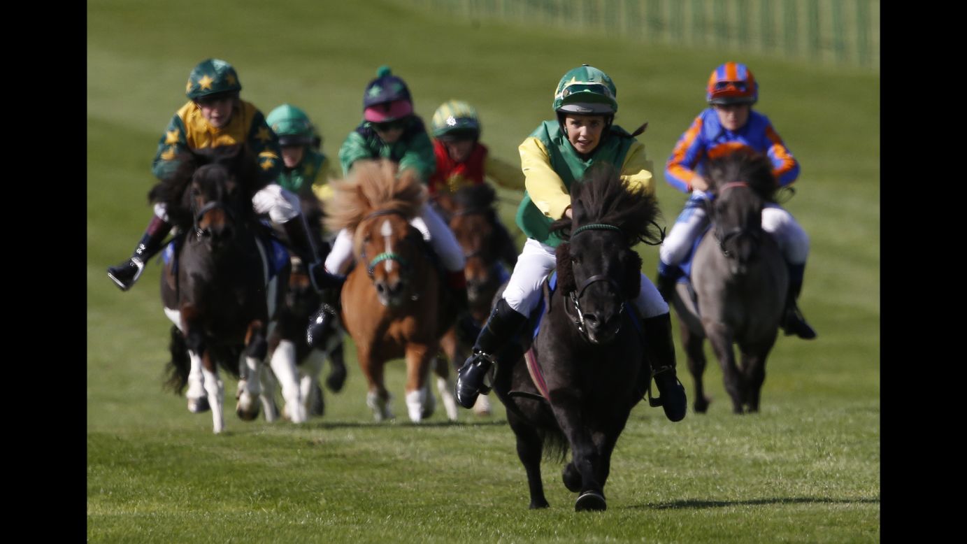 Jockeys race Shetland ponies in Newmarket, England, on Friday, September 23.