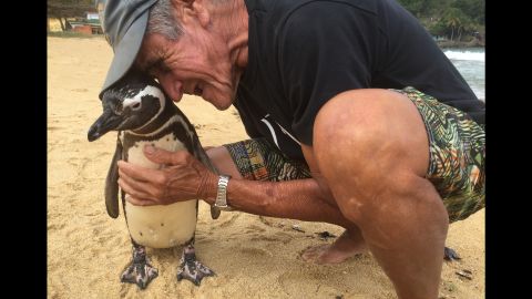 Pereira de Souza, a retired bricklayer, has a true friend in penguin Dindim.