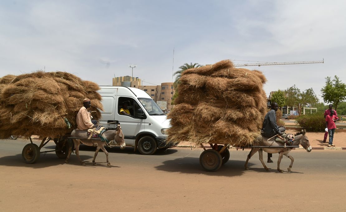 Donkeys transport straw through the district of Niamey, Niger. 