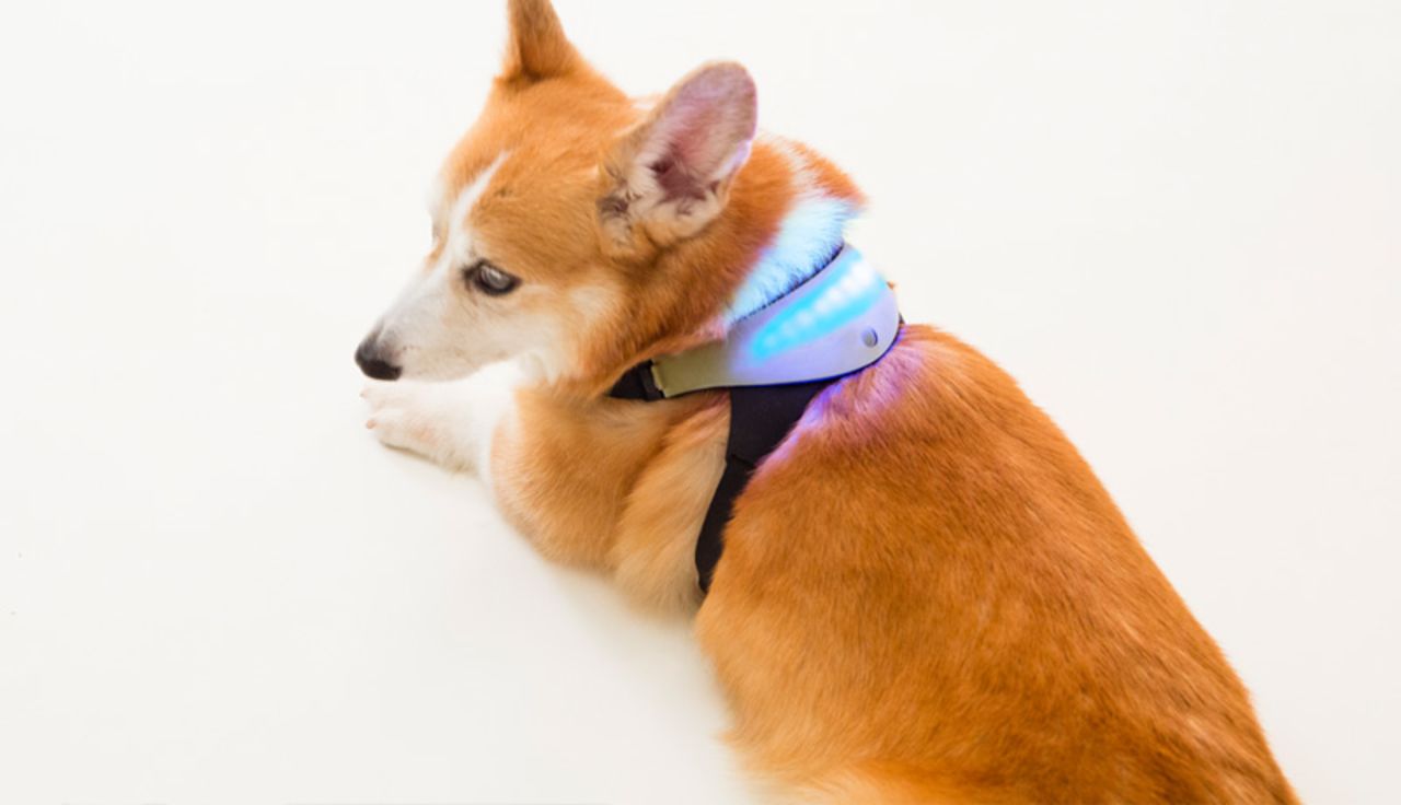 Designed to help people better understand their pets, Inupathy measures a dog's heart rate and pulse variations to determine how it's feeling. Starting from US$149 for Indiegogo supporters, the harness is covered in LED lights that change color to reflect a dog's mood. It glows blue when a dog is calm, red when excited, bright white when focused, and shows a rainbow display when the pooch is happy. The data is stored online so an owner can review trends.