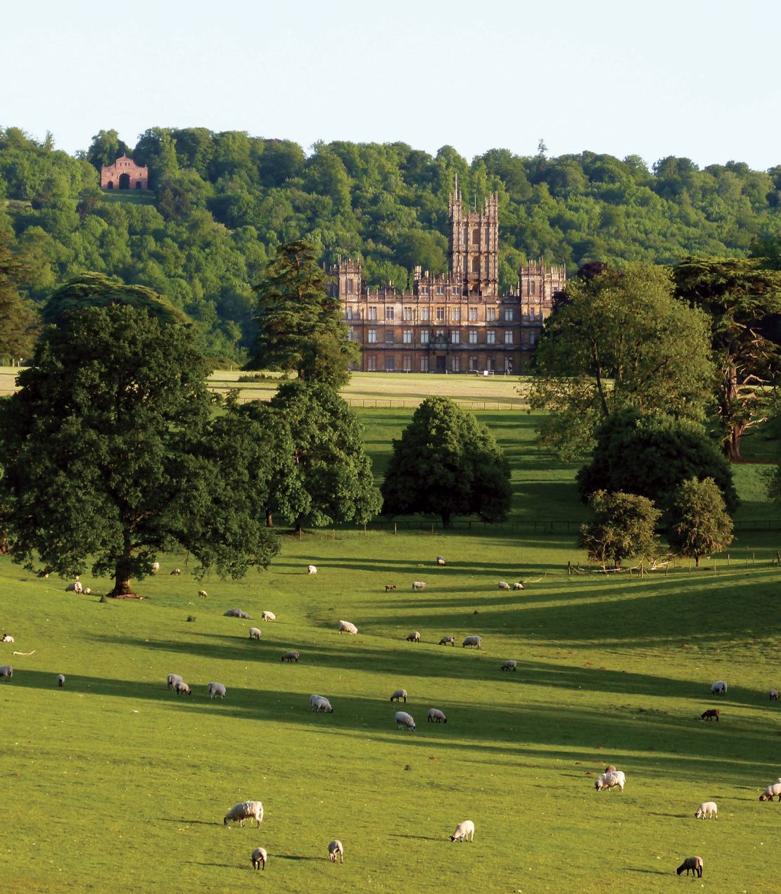 Highclere Castle is home to many animals including sheep, red deer and seven labradors.