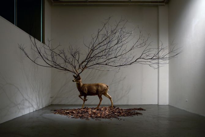 Expanding on the theme of the natural, Korean artist <a  target="_blank" target="_blank">Myeongbeom Kim</a> typically works with trees and other plant life (and, in this case, a taxidermy deer). Kim has had solo shows in South Korea, China, France, Puerto Rico and the US. 