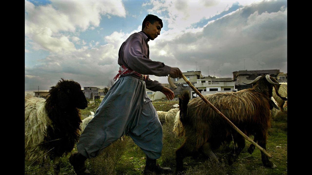 A teenage boy tends to a herd of sheep on the outskirts of Mosul in 2003.  