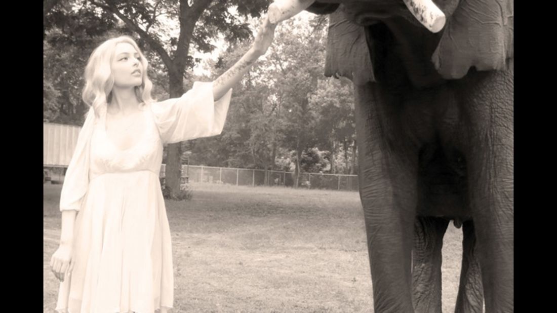 Elephants are Kat's favorite animal and Cion arranged for her to meet them as one of her bucket list items.