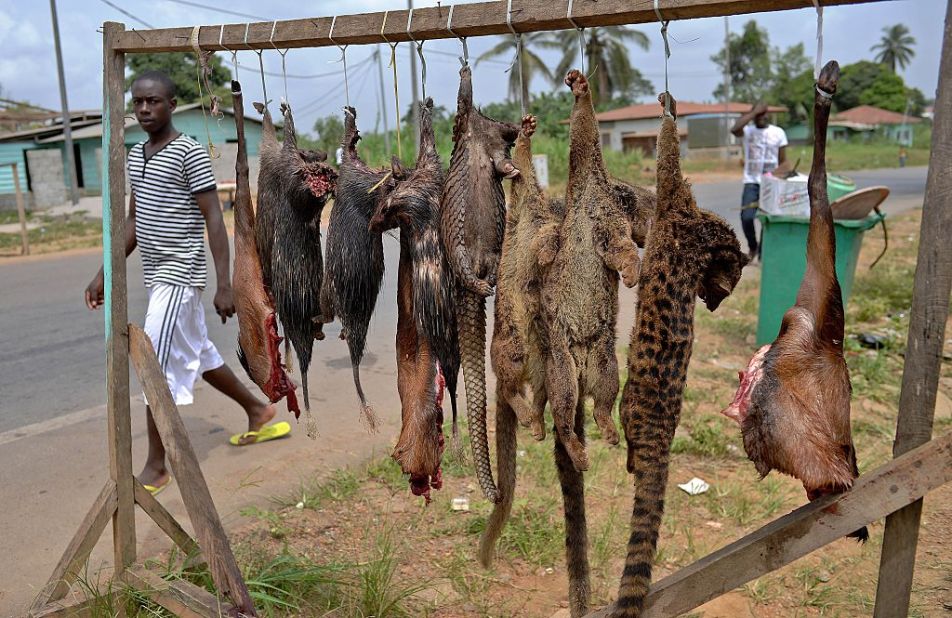 Monkey and bat bushmeat has been linked to the spread of the deadly virus. Here, pangolins, bush rats and tiger cats are sold at the roadside outside Bata, Equatorial Guinea, in January 2015.
