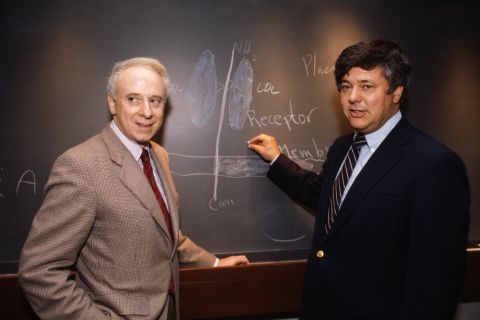 Michael S. Brown and Joseph L. Goldstein are credited for discovering low-density lipoprotein (LDL) receptors, which are responsible for regulating the amount of cholesterol in the blood. 