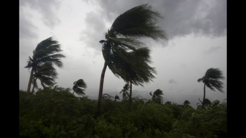 Hurricane winds blow against palm trees in Port-au-Prince.