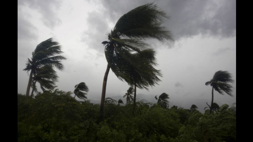Wind blows coconut trees during the passage of Hurricane Matthew in Port-au-Prince, Haiti, Tuesday, Oct. 4, 2016. Hurricane Matthew roared into the southwestern coast of Haiti on Tuesday, threatening a largely rural corner of the impoverished country with devastating storm conditions as it headed north toward Cuba and the eastern coast of Florida. (AP Photo/Dieu Nalio Chery)