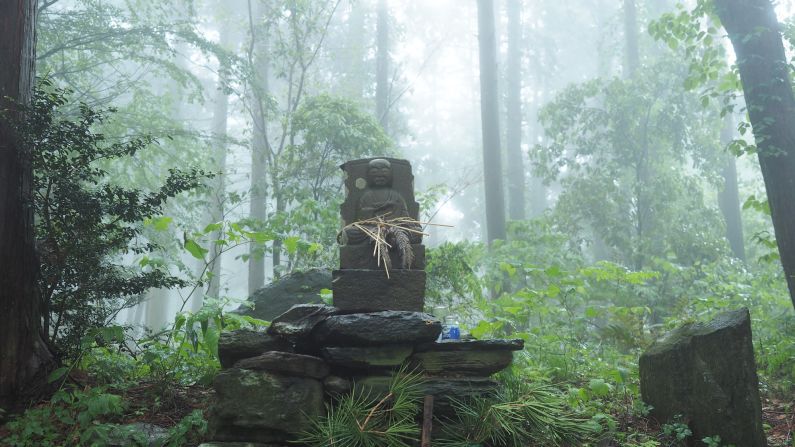 The Koyasan Choishi Michi trail is filled with shrines and deities. 