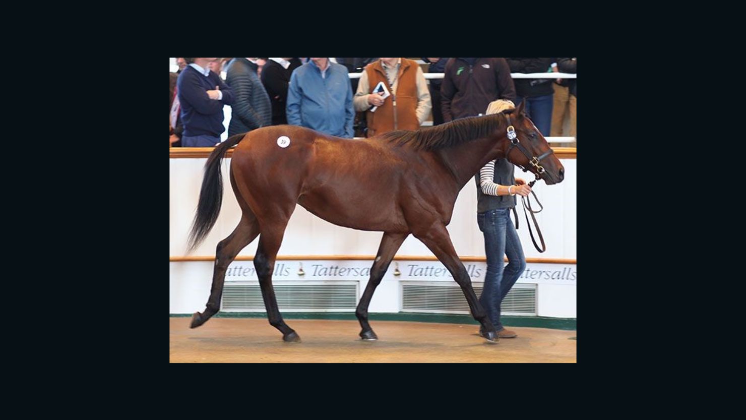 The colt out of Dubawi sold for 2.6m guineas at the Tattersalls October Yearling sales.