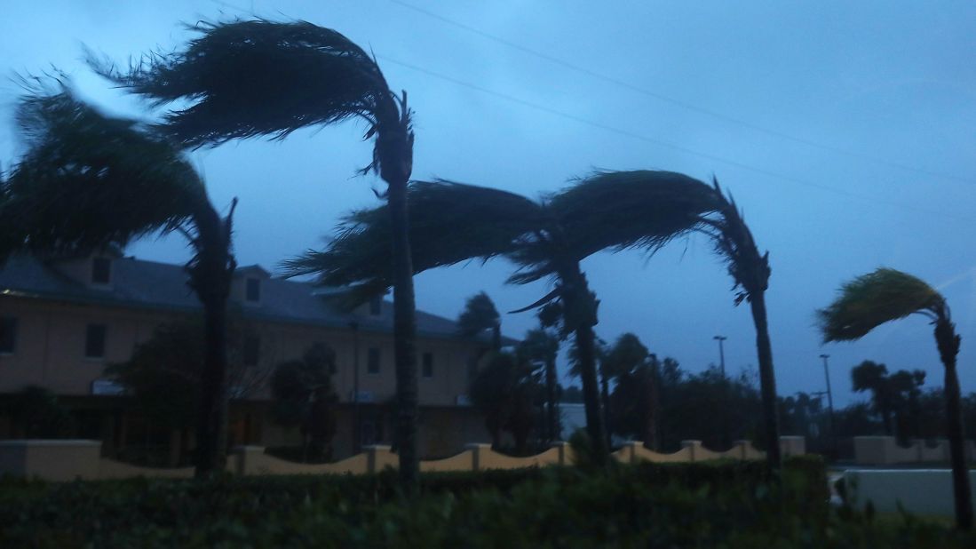Palm trees on Cocoa Beach sway in the wind on October 7.