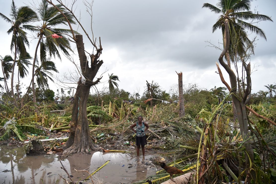 A woman stands in a field of destroyed trees on Thursday.
