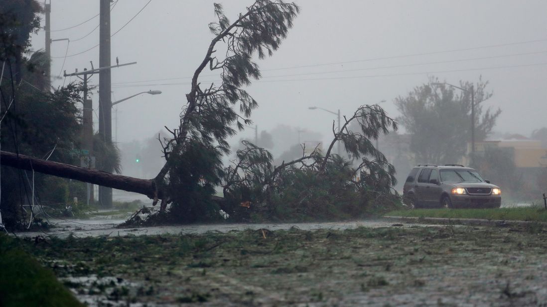 A car drives past a downed tree as the hurricane moves through Daytona Beach, Florida, on October 7.